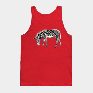 Be A Zebra Tank Top